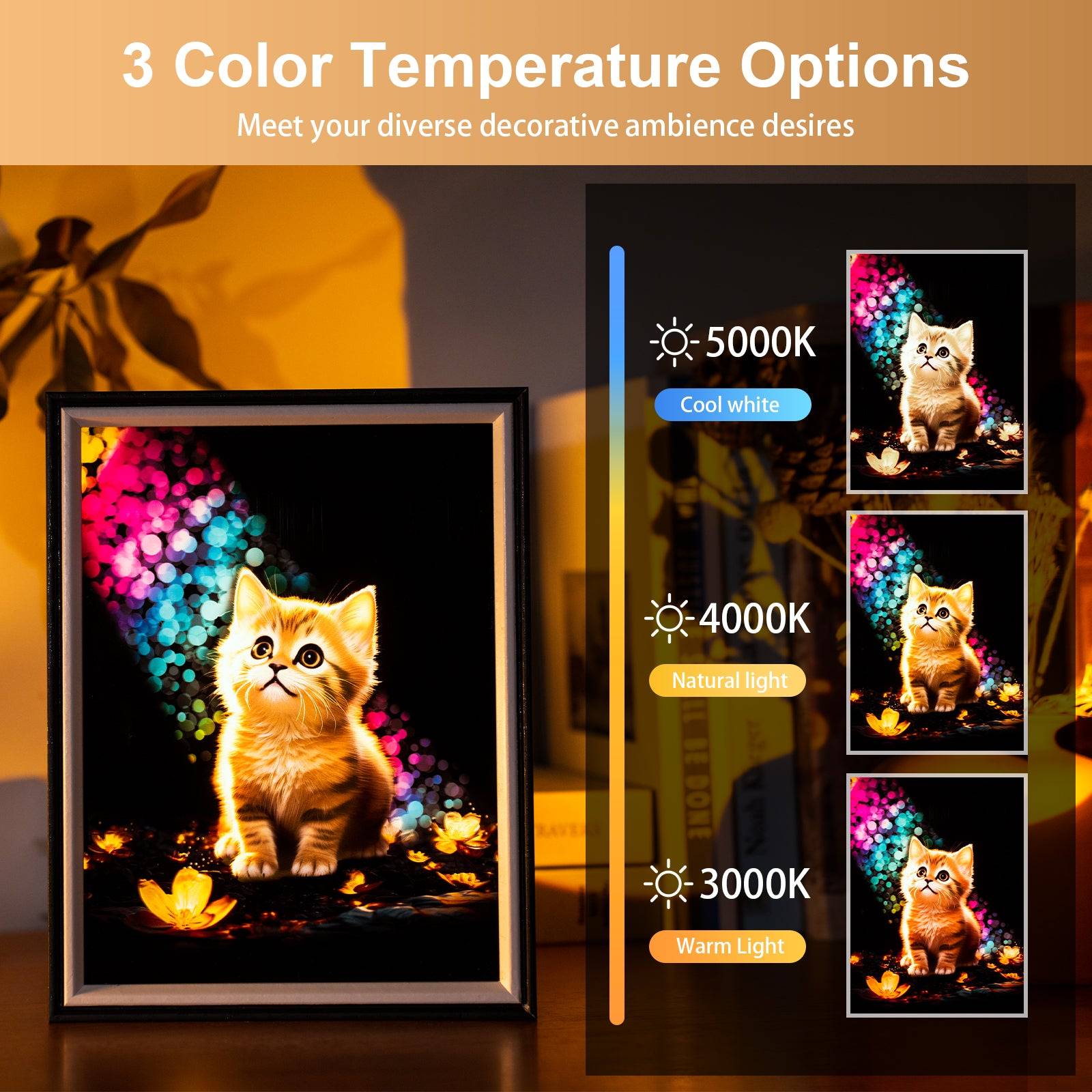 Rainbow Cat LED Light Painting Lamp Artwork Night Light  animal series
