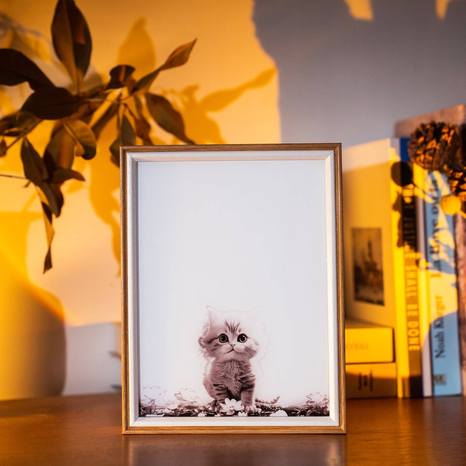 Kitten Changes LED Light Painting Lamp Artwork Night Light animal series