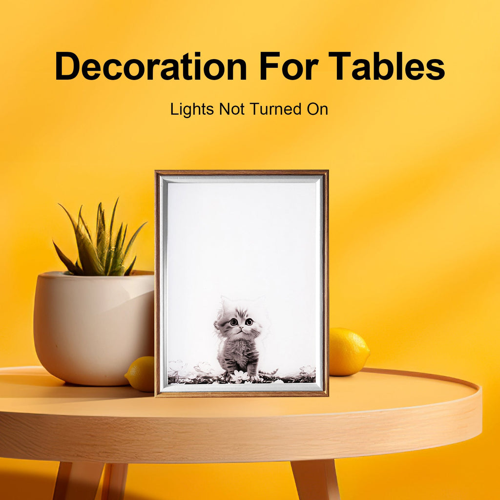 8 Inches Kitten Changes LED Light Painting Lamp Artwork Night Light animal series