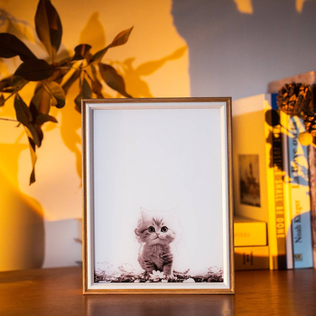Kitten Changes LED Light Painting Lamp Artwork Night Light animal series